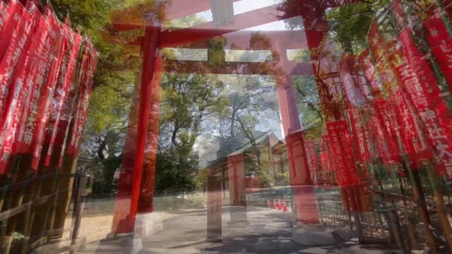 Where is Tokyo’s SECRET HIDDEN PHOTO SPOT? Hie Shrine's - Red Gate Tunnel смотреть онлайн