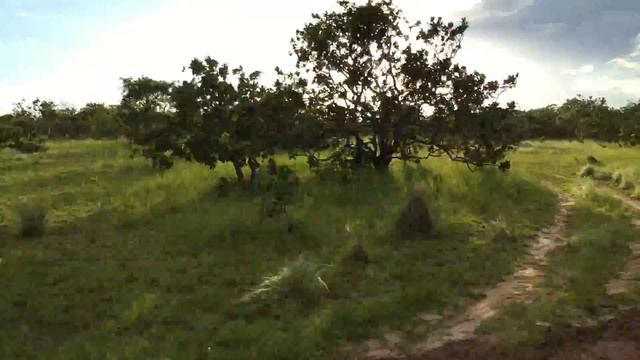 Rupununi Life, Guyana - Driving Through The Savannah 2015