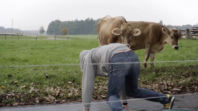 Spirella Brakedance V3