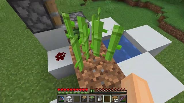 FAST zero tick SUGARCANE FARM - Minecraft Guide (1.14.4 | Java) смотреть онлайн