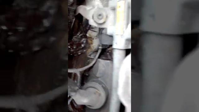 Вода в салоне Skoda Octavia Tour