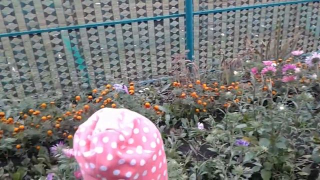 Очень много цветов смотреть онлайн