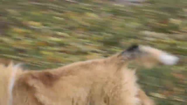 DSCN9788 смотреть онлайн