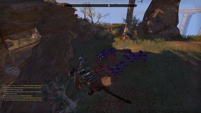 The Elder Scrolls Online Elsweyr Northern Elsweyr CE Treasure Map 3 Solution смотреть онлайн