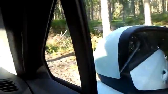 культурный лось :-) смотреть онлайн