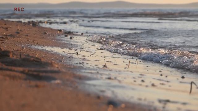 [ Playlist ] Morning Energy 🍀 Morning Music To Make You Feel So Good ~ English Songs