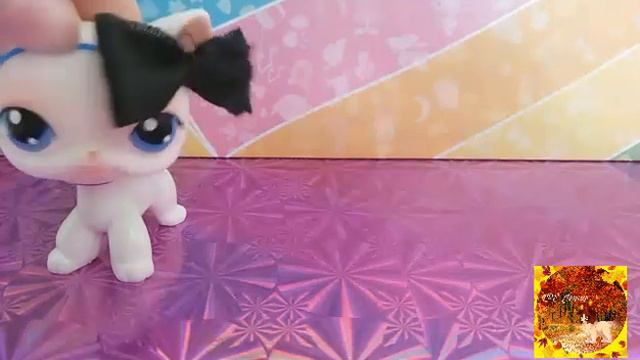 LPS: Шок! Новинка Котята? Подарок со встречки от канала Ванильк А смотреть онлайн