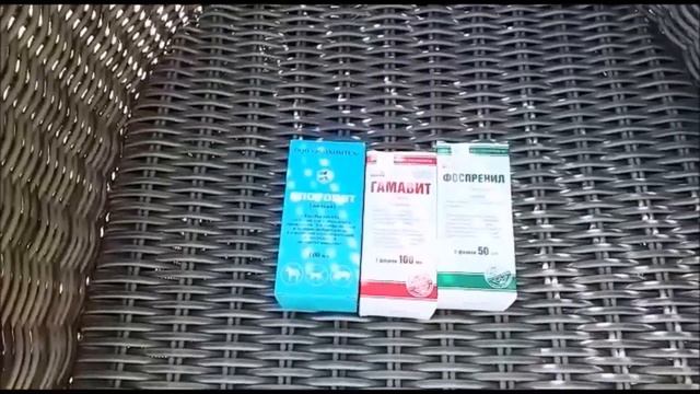 Поднимаем ИММУНИТЕТ у голубей до вакцинации , после или в целом ( Гуляев Алексей ) смотреть онлайн