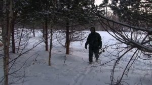 Охота на Марала (Благородного оленя) с лука!