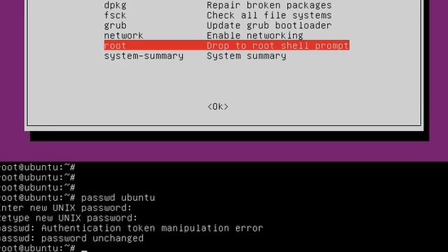 Fix Ubuntu "Passwd: Authentication token manipulation error" смотреть онлайн
