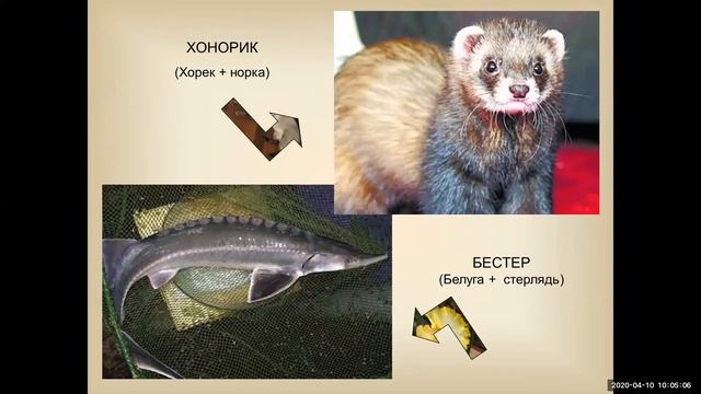 Биология. смотреть онлайн