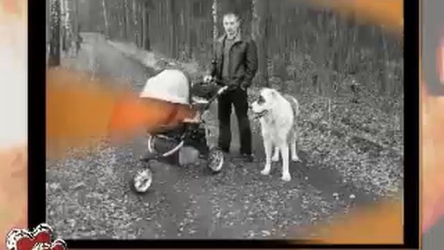 Рождение сына.flv смотреть онлайн