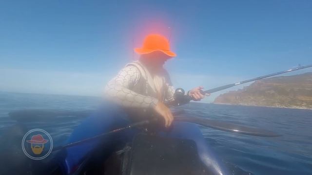 Chased by a whale while kayak fishing for yellowtail at Cape Point. смотреть онлайн