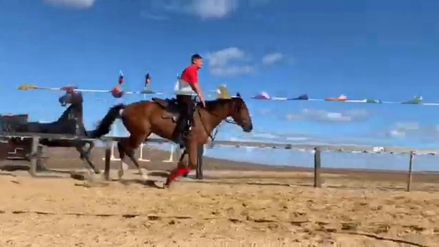 Брюховецкие казаки джигиты смотреть онлайн