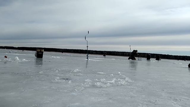 Республиканские соревнования по ловле рыбы на мормышку со льда в Солигорске. смотреть онлайн