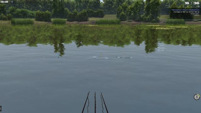 ?FISHER ONLINE ЛОВЛЮ НА КУЗНЕЧИКА И СЛЕПНЯ