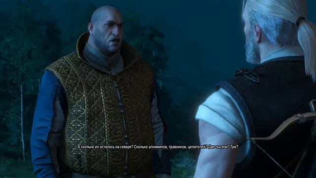 The Witcher 3 Wild Hunt Прохождение Сейчас или Никогда #37 смотреть онлайн
