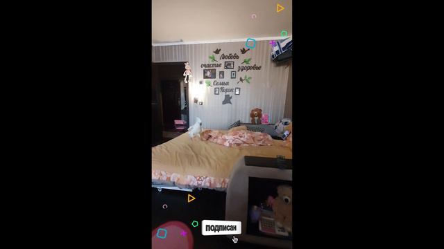 Попугай какаду играет с ребенком. Альба дружит с котом смотреть онлайн