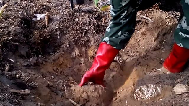 КЛАД ШОКИРУЮЩЕГО ЗОЛОТА! УДИВЛЕНИЮ ОТ ГРОМАДНОГО ЗАРАБОТКА НЕТ ПРЕДЕЛА!