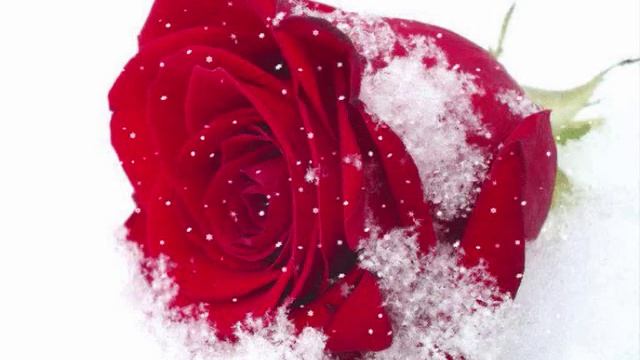 Снежинки на ресницы падали... (Красивая любовь) смотреть онлайн