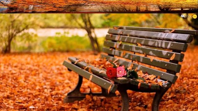 Когда сжигают золотые листья смотреть онлайн