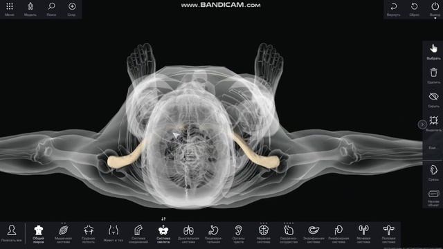 Пироги для утреннего завтрака