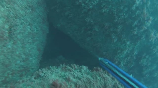 Где рыба? Подводная охота в Черном море зимой. Тактический поиск. смотреть онлайн