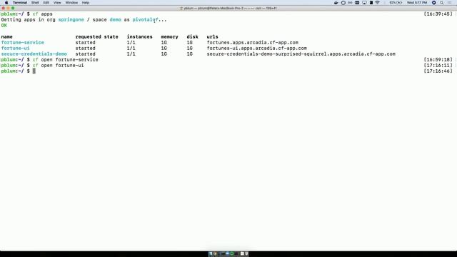 CredHub and Secure Credential Management смотреть онлайн