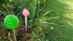 Маленькая страна! Сказочная страна! Мультяшные герои, звери, птицы и т.д. ??️???