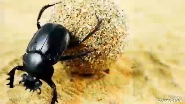 Украшение Древнего Египта смотреть онлайн