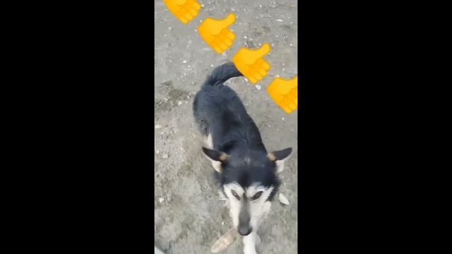 как сделать летний душ. во дворе . оформленный декоративная штукатурка .мастер Вова . смотреть онлайн