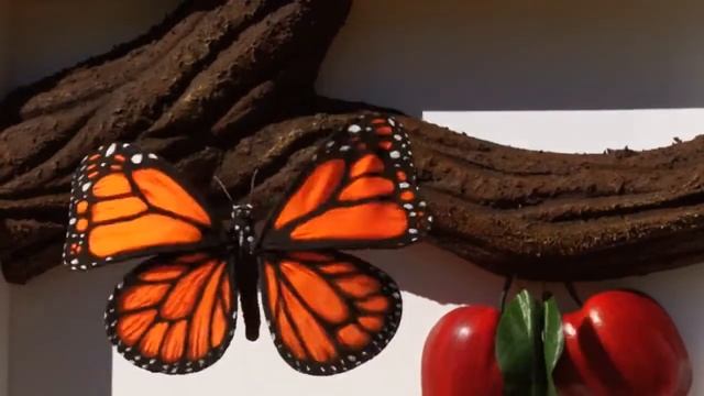 Магический класс