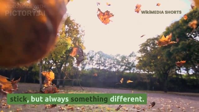 The Heartwarming Story of Max the Dog and Mrs Jenkins #youtube #viralvideo #story #dogs #cat #dog смотреть онлайн