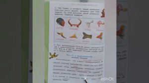 3 класс. ГДЗ. Часть 2. Окружающий мир. Рабочая тетрадь. Страницы 34-37.  Плешаков.С комментирование