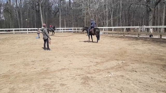 Заблуждения начинающих всадников))) смотреть онлайн