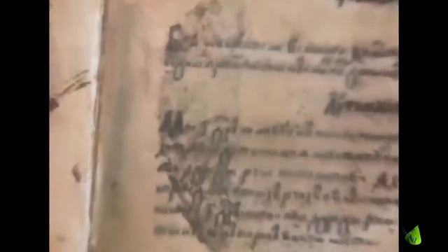 Ружаны. Дворец. музей. Путешествие. Экскурсия по Беларуси. Древние места Беларуси смотреть онлайн