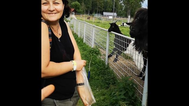 Как стать популярным блогером в Одноклассниках. Выпуск 1 смотреть онлайн