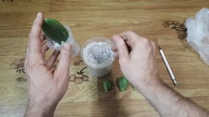 Плоды опунции. Как размножить опунцию. "Урожайный огород" опунций!