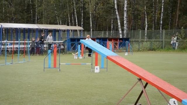 Володина Надежда и той пудель Ляля. Аджилити смотреть онлайн