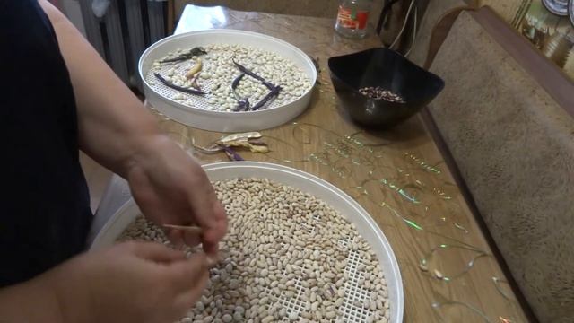 Убираем фасоль на зиму смотреть онлайн