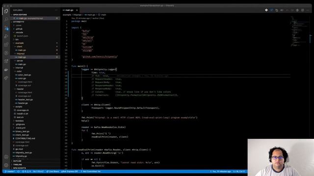 Go package httpretty demo смотреть онлайн