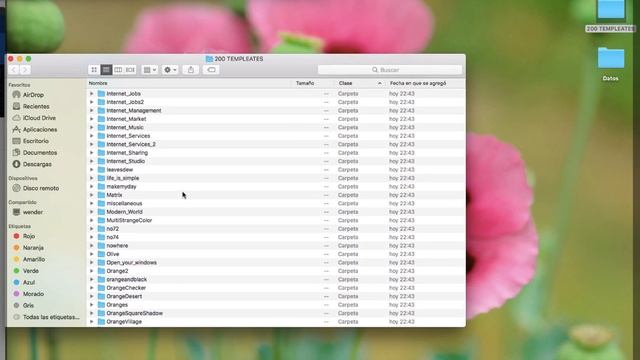 DESCARGAR Y EDITAR 200 TEMPLEATES GRATIS HTML 5, CSS, JAVASCRIPT, PHP ?? (2022) смотреть онлайн