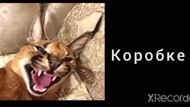 Ты живёшь в; смотреть онлайн