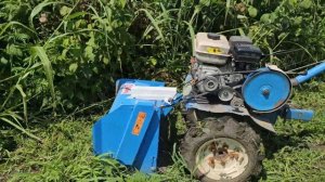 Сорняки в междурядье на малине, мульчер МБ60 к мотоблок Нева