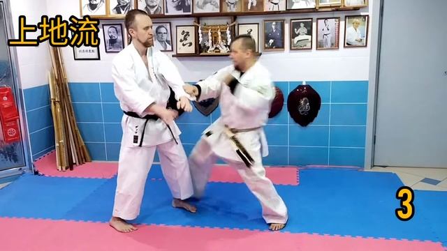 combinations for free kumite 組手 Uechi ryu karate 龍敏道場 Ryubin dojo / 上地流唐手 Uechi ryu karate Hozonkai смотреть онлайн