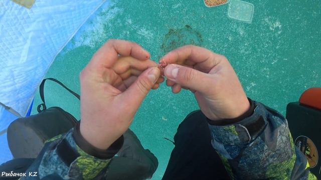 ЗАКРЫТИЕ СЕЗОНА ТВЁРДОЙ ВОДЫ!!! смотреть онлайн