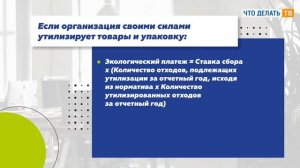 Как уплачивать экологический сбор?