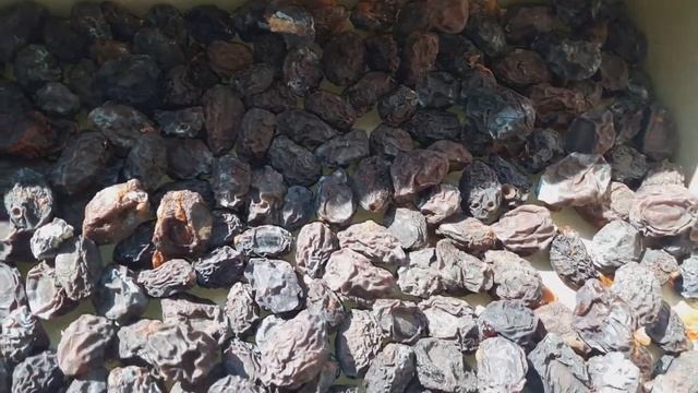 EV ŞƏRAİTİNDƏ GAVALI QURUSU(В ДОМАШНИХ УСЛОВИЯХ СЛИВА СУШЕНАЯ АЛЬБУХАРА). смотреть онлайн