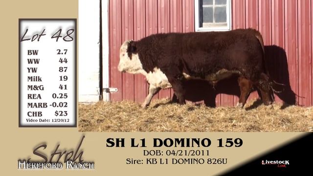 LOT 48 - SH L1 DOMINO 159 смотреть онлайн