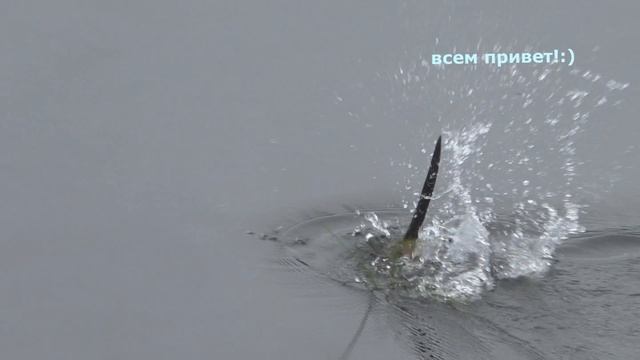 Восстановление через время